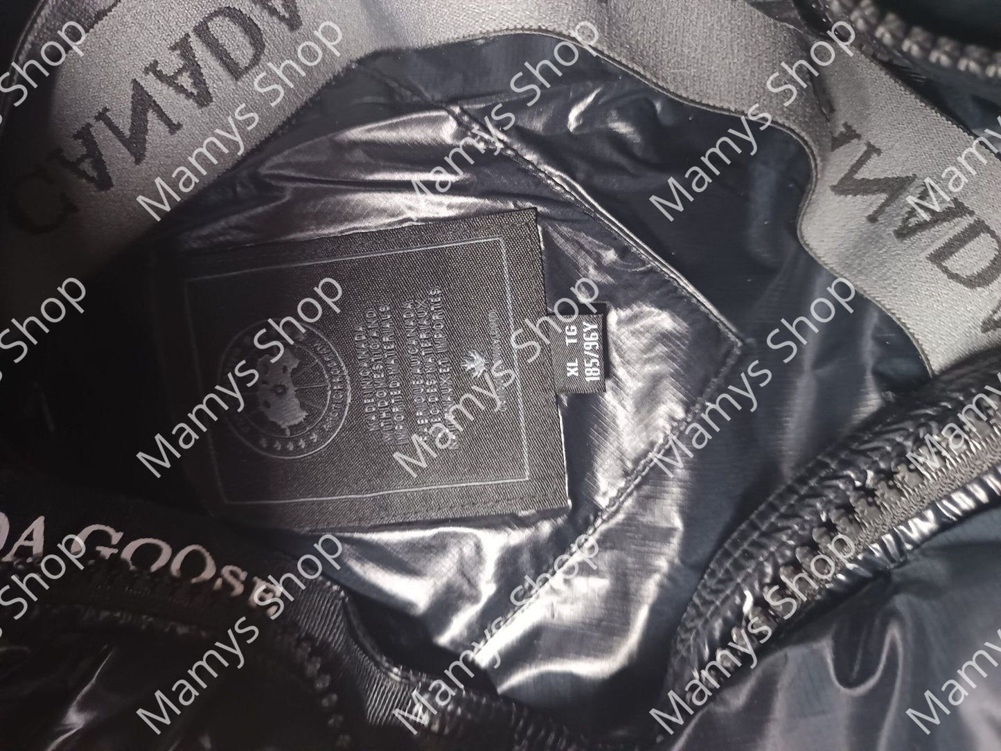 6fd123cab052-4f16-8d55-516b5f37d262 (1)